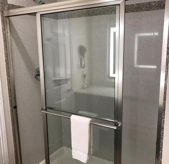 Студия Стандарт, Regency Inn & Suites Nw Houston
