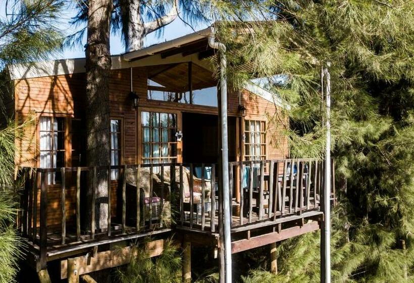 Дом 1 Спальня, Vindoux Tree House Guest Farm & Spa