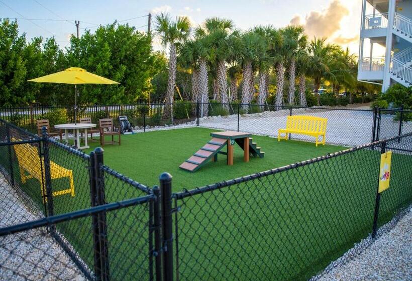 바다 전망 스위트, Sugarloaf Key Hotel At Koa Resort