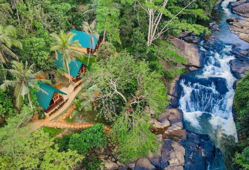 Семейный Номер Superior, The Rainforest Hideaway
