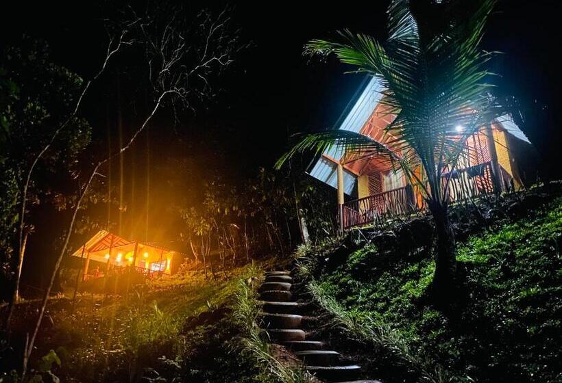 Трехместный Номер Deluxe, The Rainforest Hideaway