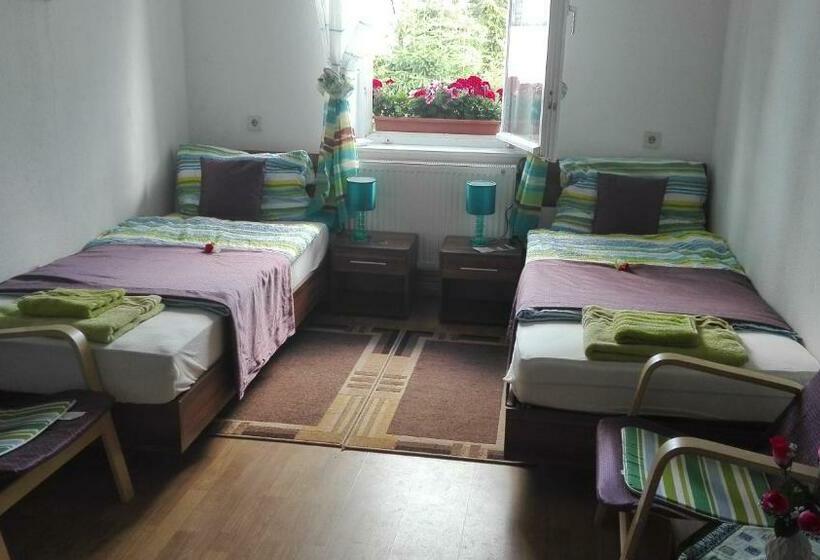 Номер Стандарт, Alte Schule Trogen