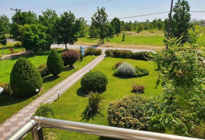 Студия Стандарт, Calypso Beach