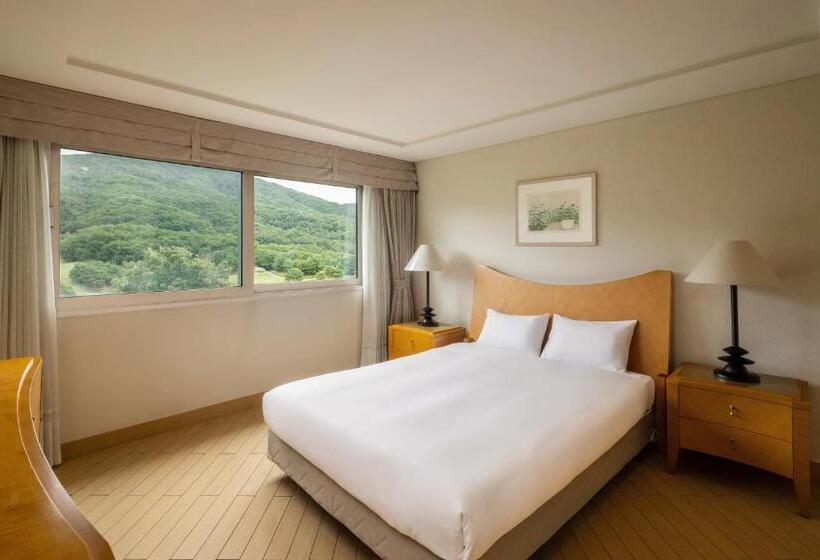 Номер Стандарт Двуспальная Кровать, Oak Valley Resort