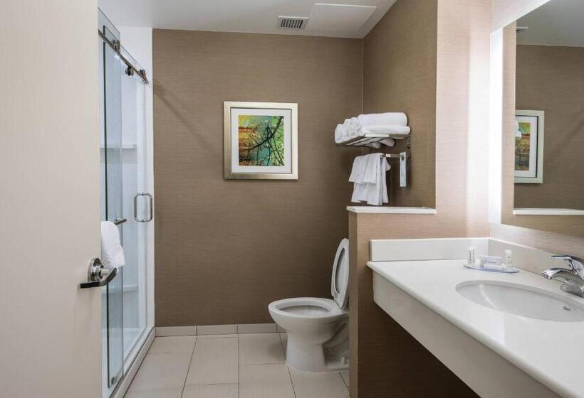 Люкс Кровать Кинг, Fairfield Inn & Suites By Marriott Florence I 20