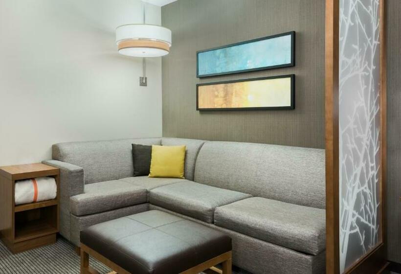 Стандартный Номер Кровать Кинг, Hyatt Place Austin/round Rock