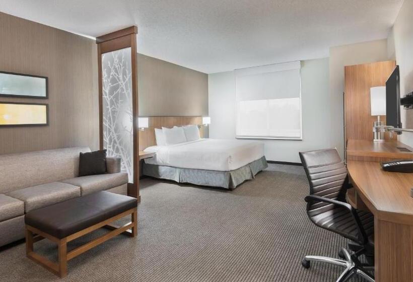 Номер Стандарт Кровать Кинг Адаптированный для Инвалидов, Hyatt Place Austin/round Rock