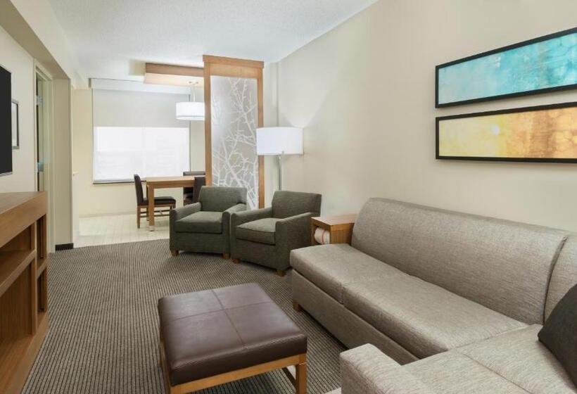 Люкс Кровать Кинг, Hyatt Place Austin/round Rock