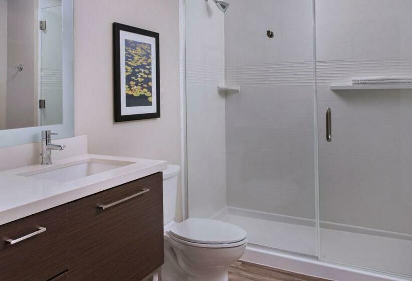 Студия Стандарт, Towneplace Suites By Marriott Lakeland