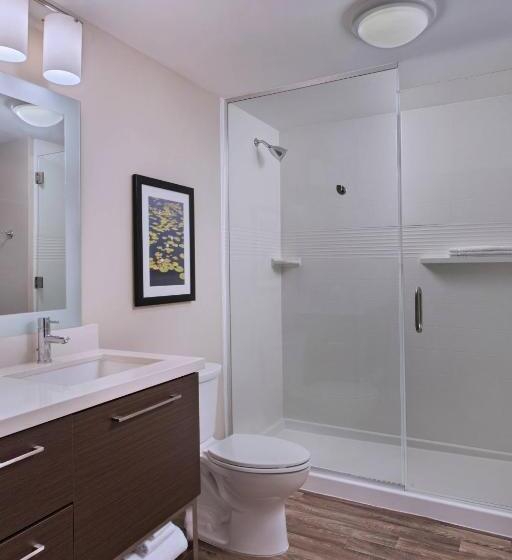Люкс Адаптированный для Инвалидов, Towneplace Suites By Marriott Lakeland