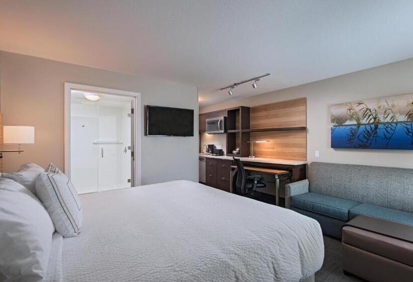 Студио Стандарт Кровать Кинг, Towneplace Suites By Marriott Lakeland