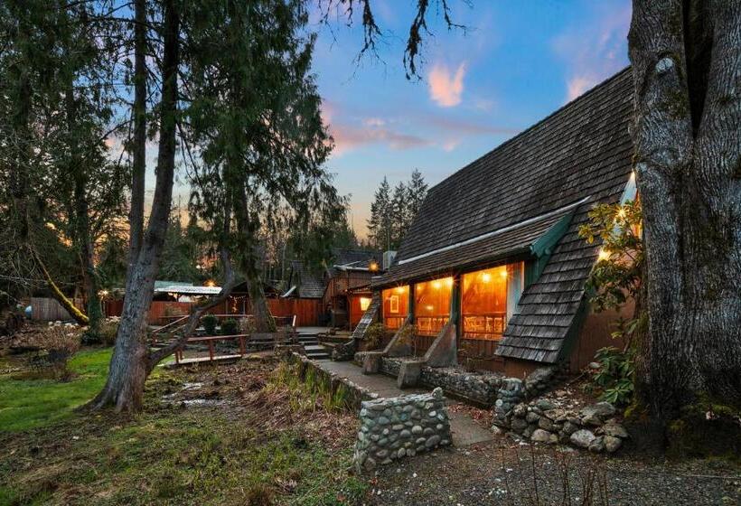 Президентский Люкс, Robin Hood Village Resort