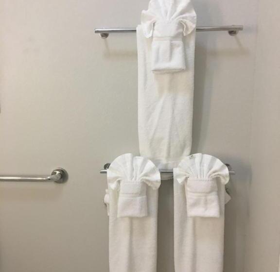 Люкс, Holiday Inn Express & Suites   Brenham South, An Ihg
