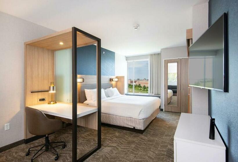 Люкс Кровать Кинг, Springhill Suites By Marriott Austin Cedar Park