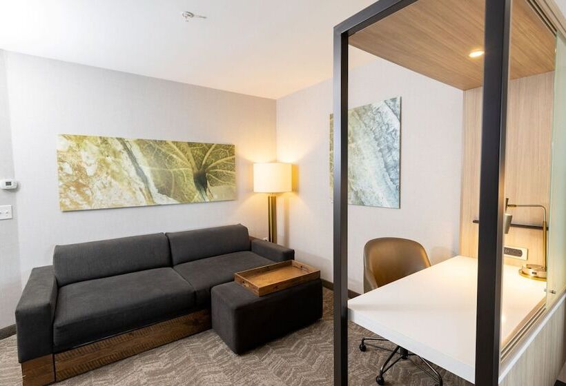 Люкс, Springhill Suites By Marriott Austin Cedar Park