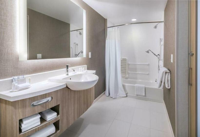Люкс, Springhill Suites By Marriott Jackson Hole