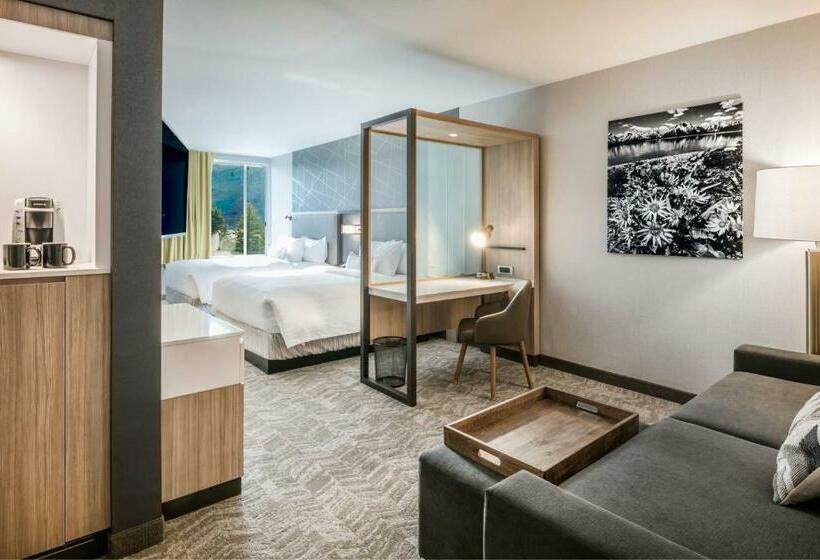 Люкс, Springhill Suites By Marriott Jackson Hole