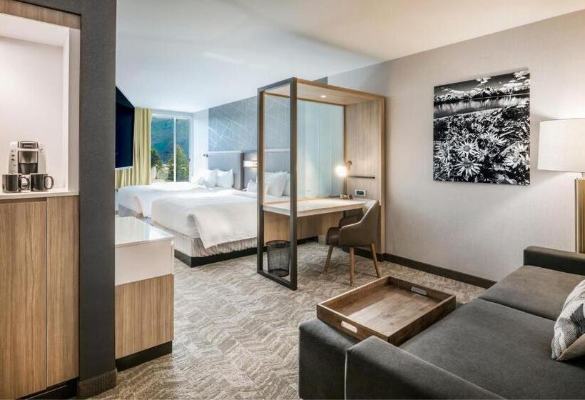 Люкс Адаптированный для Инвалидов, Springhill Suites By Marriott Jackson Hole