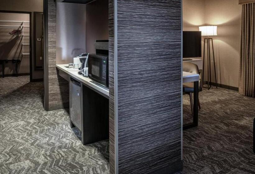 Люкс, Springhill Suites By Marriott Springdale Zion National Park
