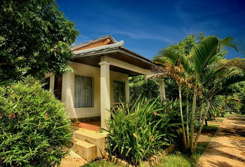 اتاق استاندارد, Q Bungalows