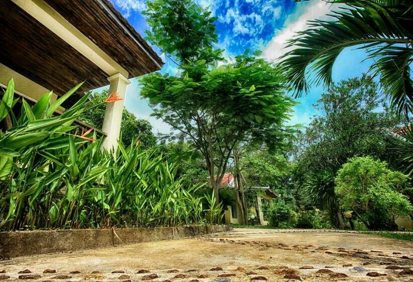 اتاق استاندارد, Q Bungalows