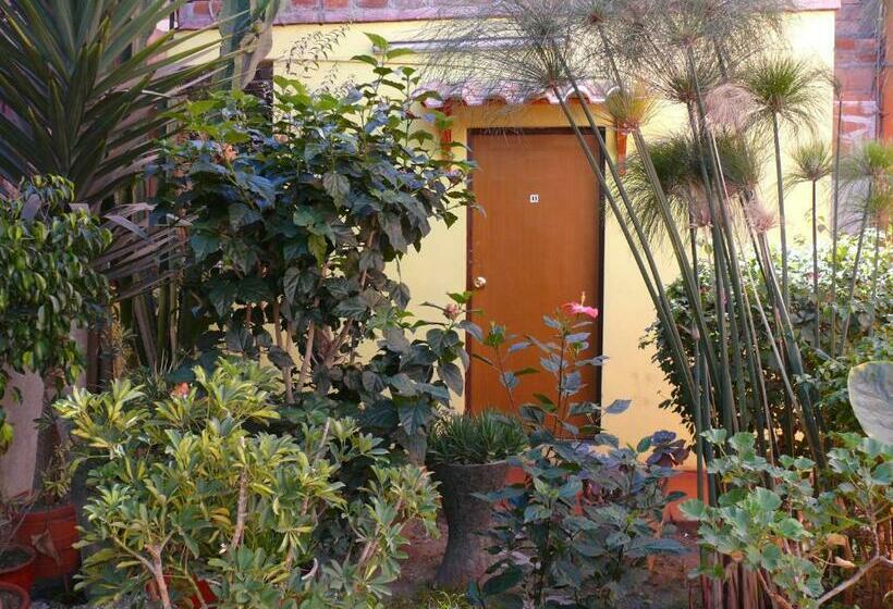 스탠다드 룸, Hostal Los Apus