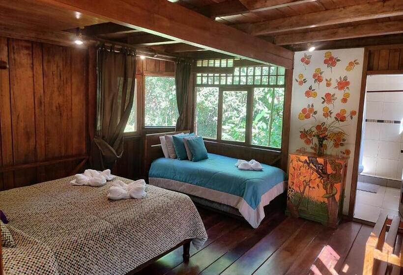 Номер Стандарт, Mindo Garden Lodge And Wildlife Reserve