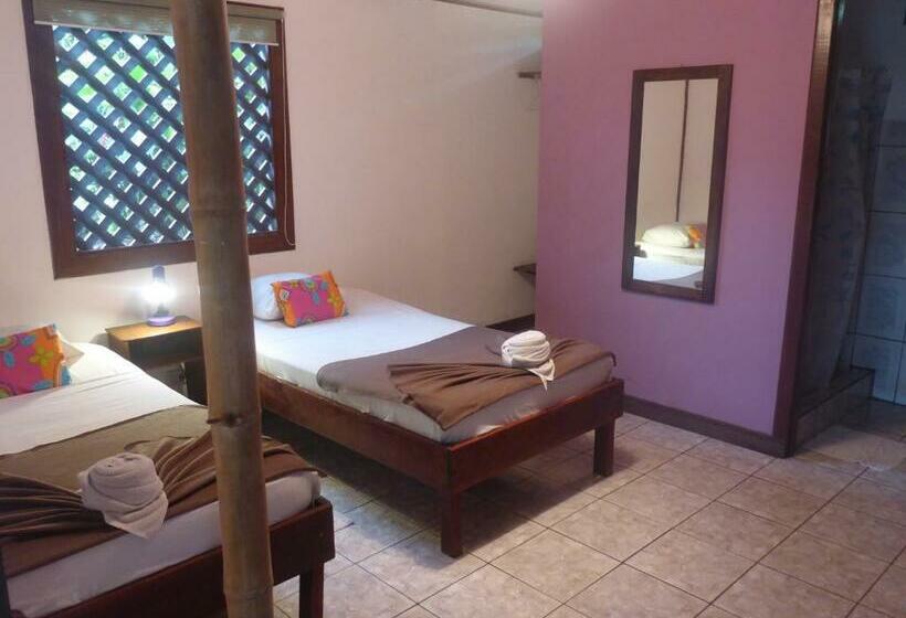 חדר בסיסי, Aracari Garden Hostel