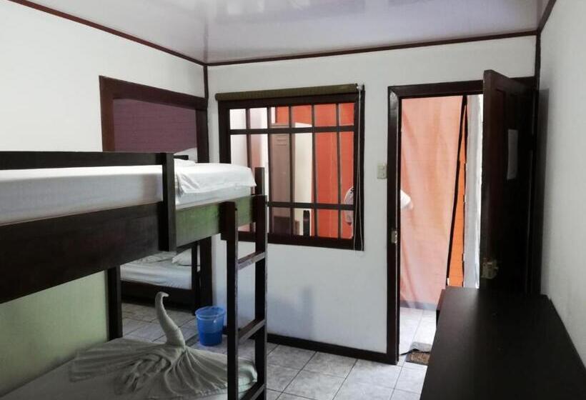 Кровать в Общей Комнате, Aracari Garden Hostel