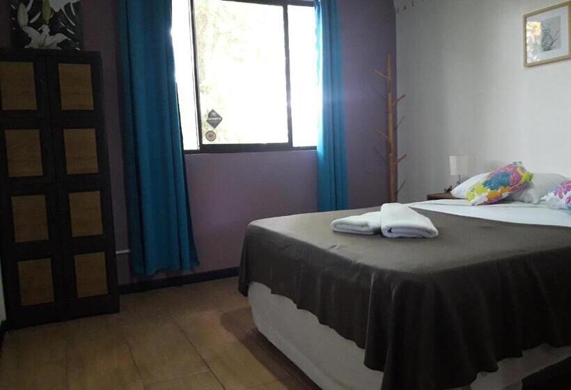 Номер Стандарт, Aracari Garden Hostel