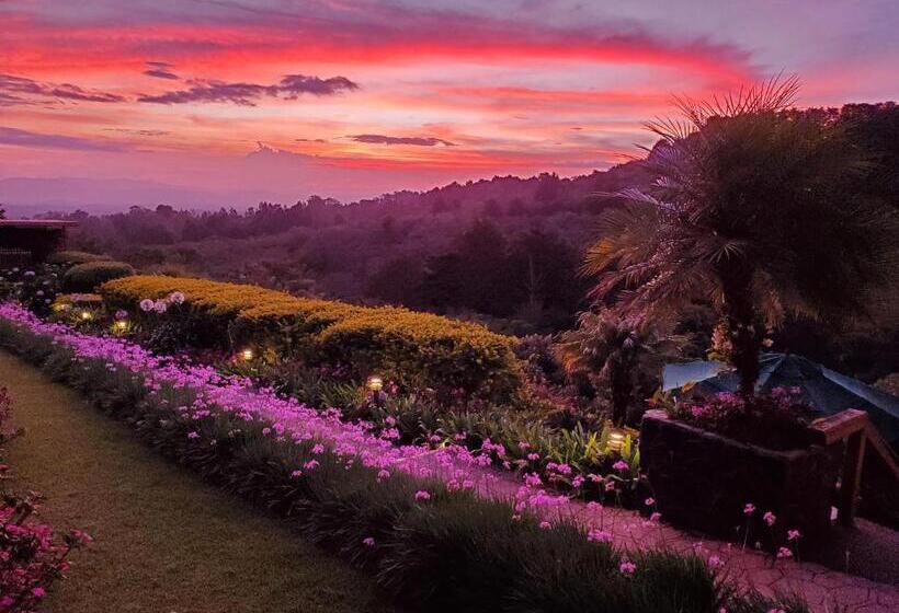 Бунгало Deluxe, Finca Paraiso Mountain Retreat Near San Jose Airport