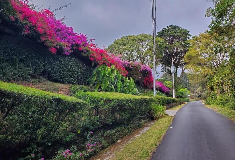 Люкс Повышенной Комфортности, Finca Paraiso Mountain Retreat Near San Jose Airport