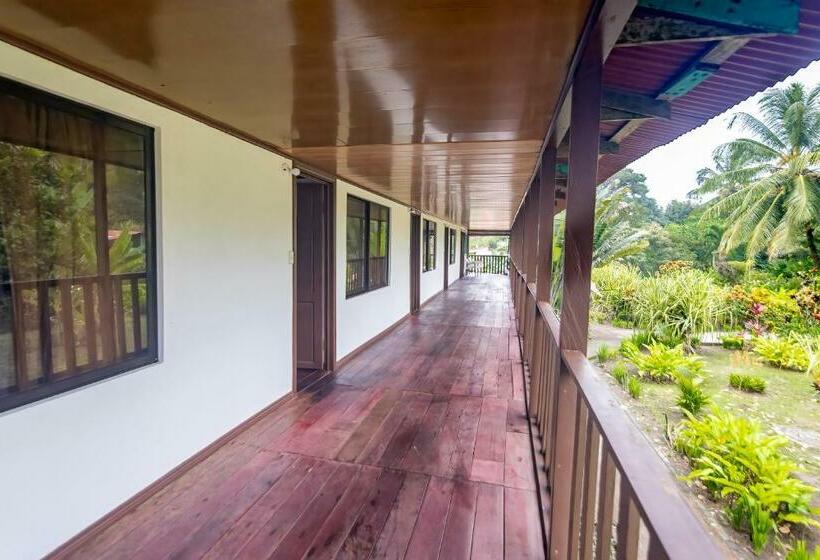 Одноместный Номер Вид на Сад, Tortuguero Beachfront