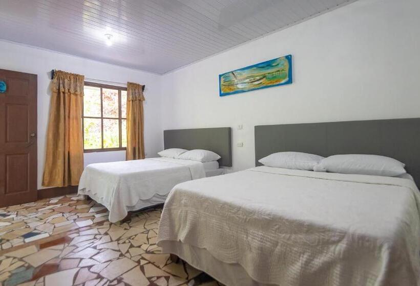 Четырехместный Номер Стандарт Вид на Сад, Tortuguero Beachfront