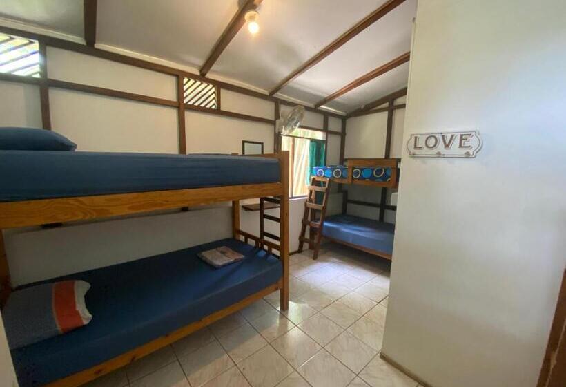 공동 객실, Pura Vida Mini Hostel Santa Teresa
