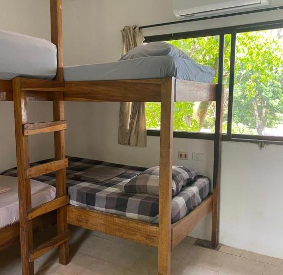 4인용 스탠다드 룸, Pura Vida Mini Hostel Santa Teresa