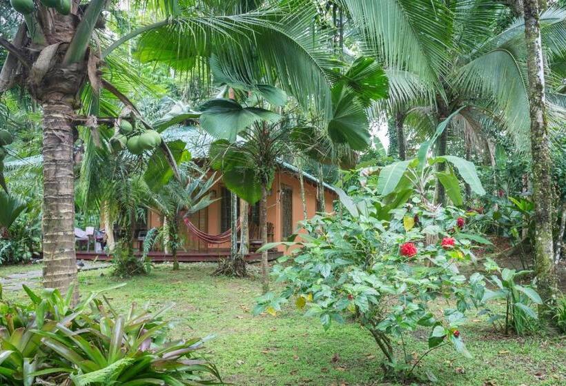 Бунгало Стандарт Вид на Сад, El Nido Jungle Lodge