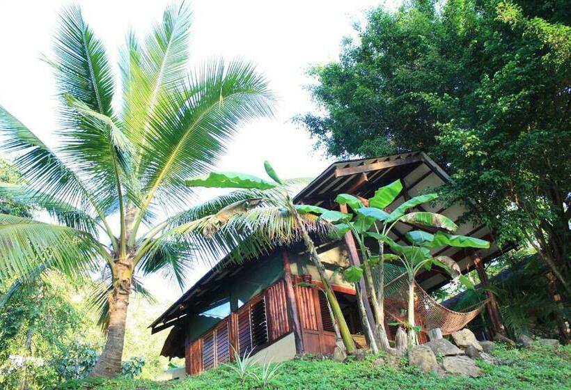 스탠다드 방갈로, Funky Monkey Lodge