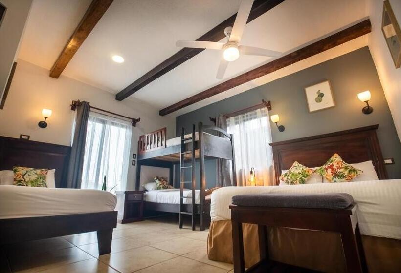 Семейный Номер, Camino Verde B&b Monteverde Costa Rica