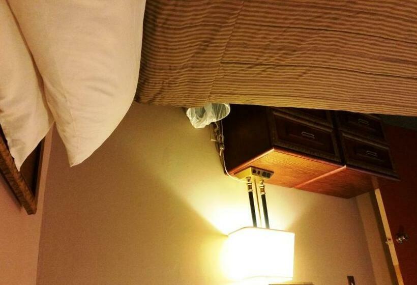 带共用浴室的标准房间, A Voyageur S Guest House