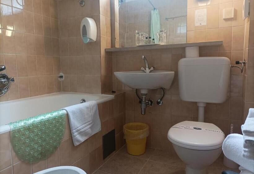 Четырехместный Номер Стандарт, Integral Hotel Arbia   Villa Rio