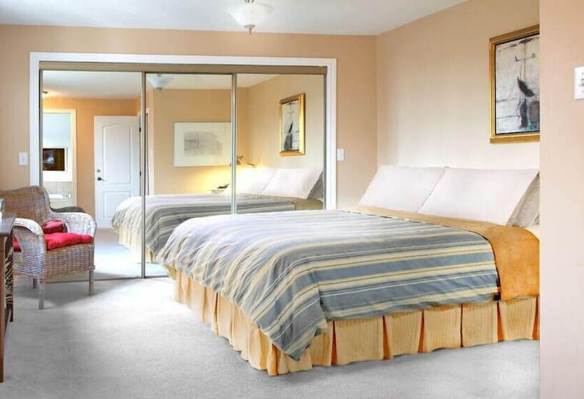 Номер Стандарт, Tekdiv B&b