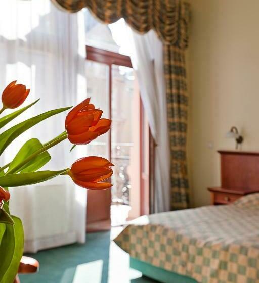 标准间, Spa Hotel čajkovskij
