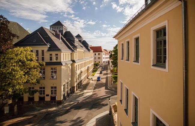 Номер Стандарт, Freyhof