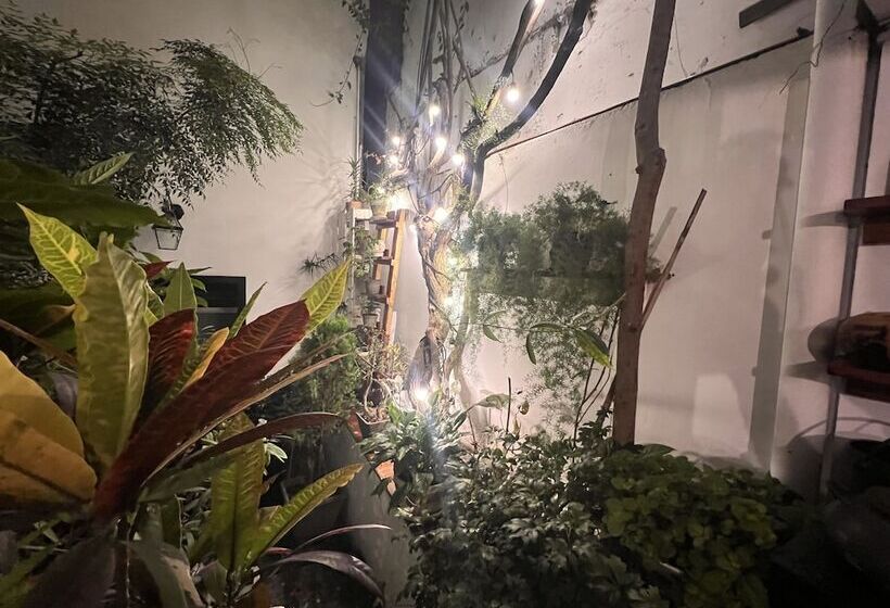 패밀리 룸, La Casa Del Viajero