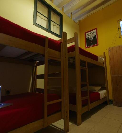 سرير فى غرفة مشتركه, Flying Dog Hostel