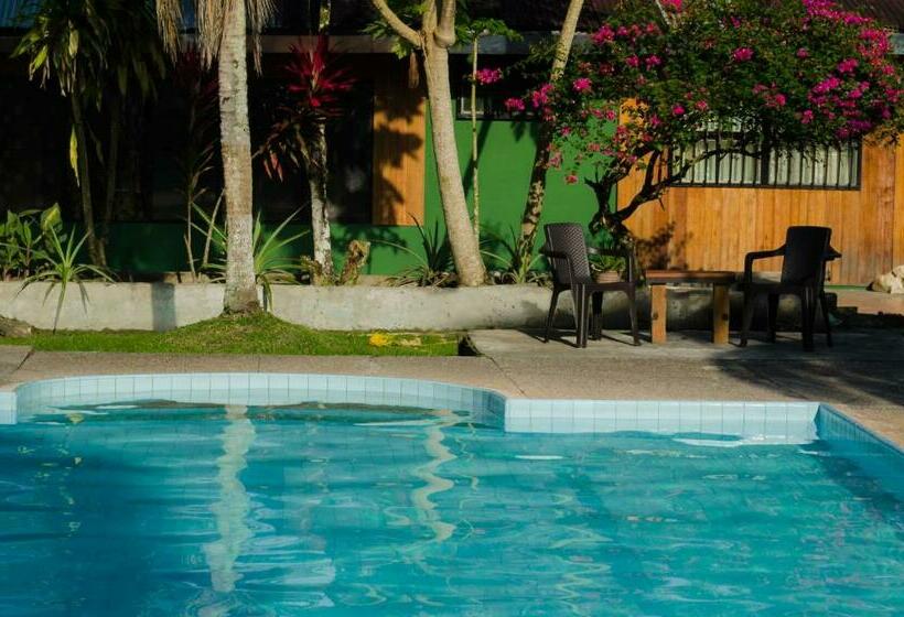 Номер Стандарт, Hostel Casa De Las Palmas Tours