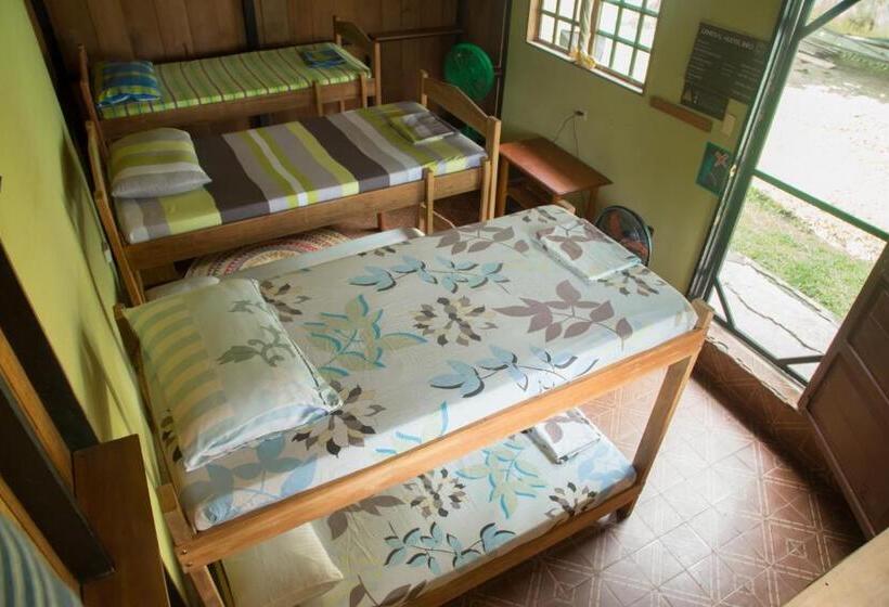 Кровать в Общей Комнате, Hostel Casa De Las Palmas Tours