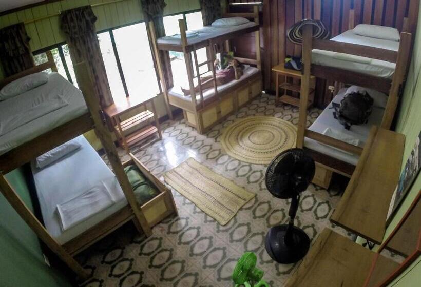 Кровать в Общей Комнате, Hostel Casa De Las Palmas Tours