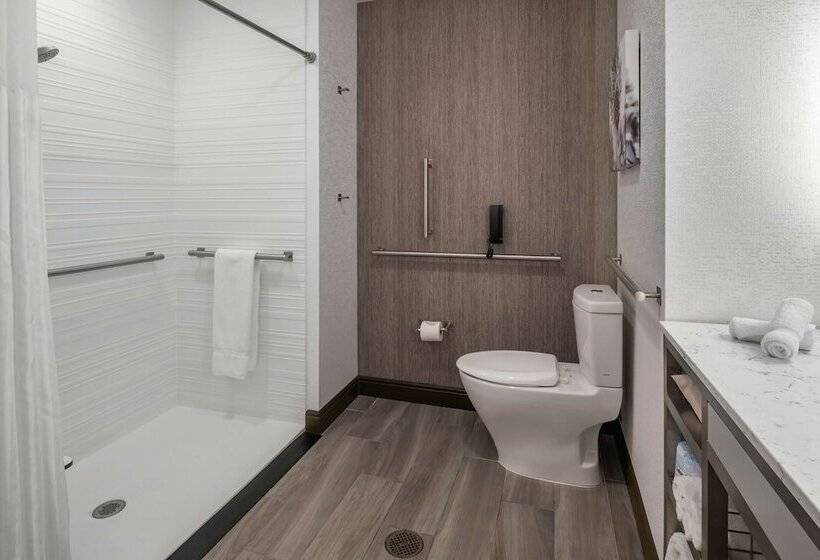 Номер Премиум, Hilton Garden Inn Arvada Denver, Co
